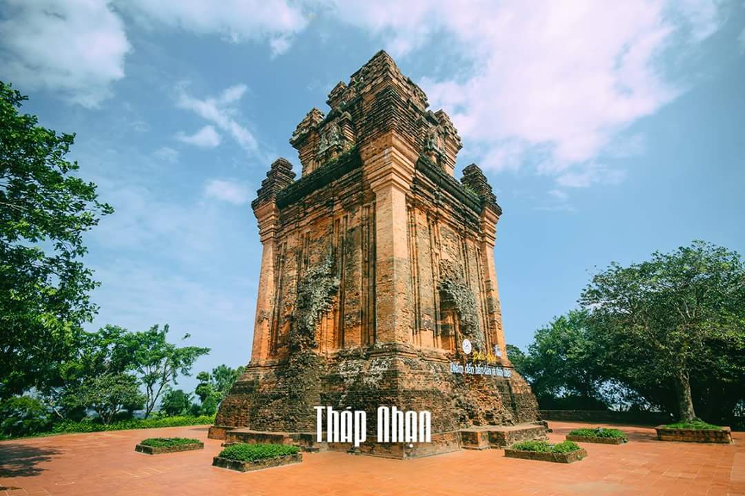 Phú Yên những điểm checkin không thể bỏ qua ở xứ hoa vàng trên cỏ xanh