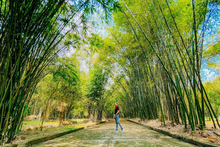 Làng Tre Phú An Bình Dương – Khám Phá Khu Bảo Tồn Tre Tự Nhiên
