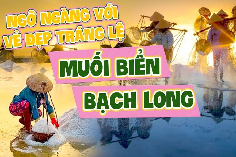 Cánh Đồng Muối Bạch Long - Nét đẹp lao động của người con Nam Định