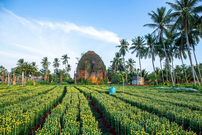 Làng hoa kiểng Cái Mơn – Chợ Lách Bến Tre 