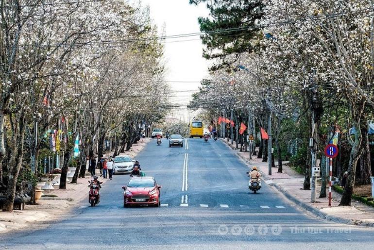 Phương Tiện Di Chuyển Khi Đi Du Lịch Lâm Đồng