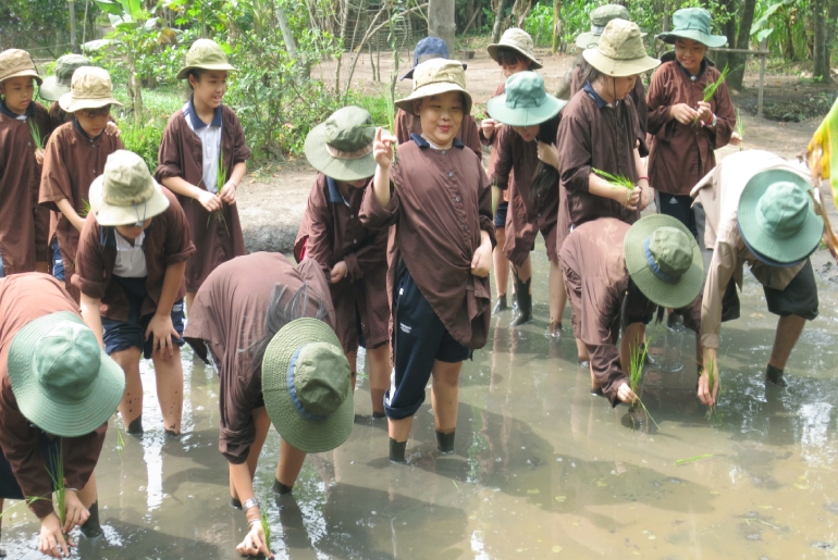 Tour Học Sinh Một Ngày Làm Nông Dân Tại Nông Trại Tree 1 Ngày