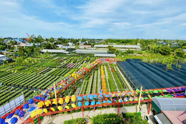 Tour Châu Đốc - Trà Sư - Miếu Bà - KDL Mỹ Luông - Vườn Hoa Sa Đéc 2 ngày 2 đêm