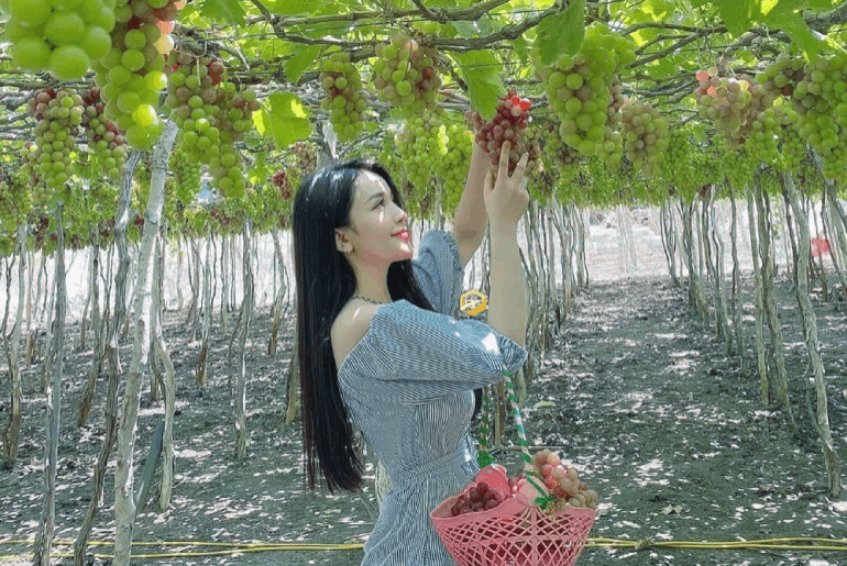 Bình Định - Phú Yên I Tour du lịch Bình Định - Phú Yên 3 ngày 2 đêm