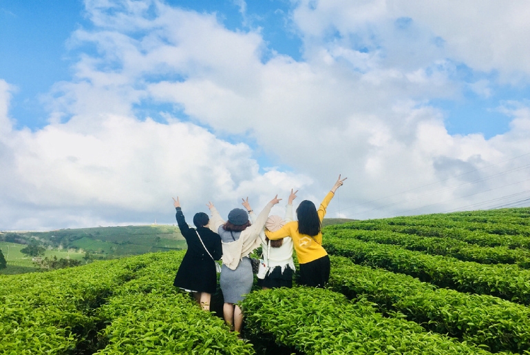 Tour Đà Lạt 3 ngày 3 đêm - Khởi hành tối thứ 5 hàng tuần