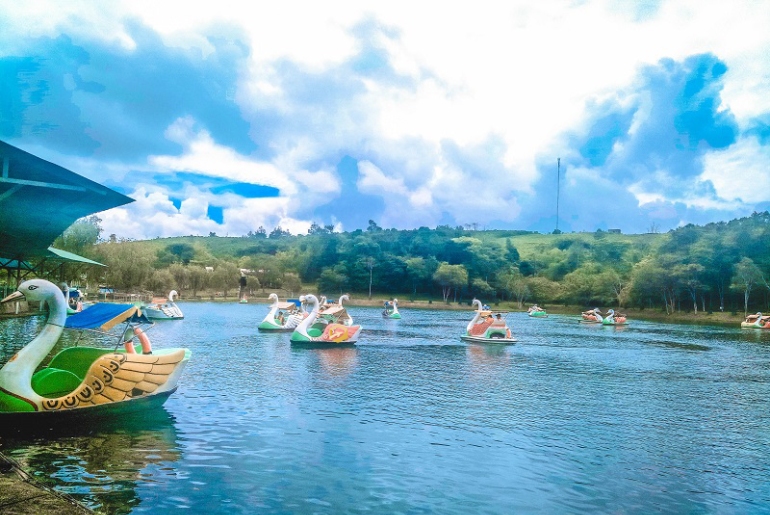 Tour Tà Đùng I Tour du lịch Tà Đùng - Bảo Lộc 3 ngày 3 đêm