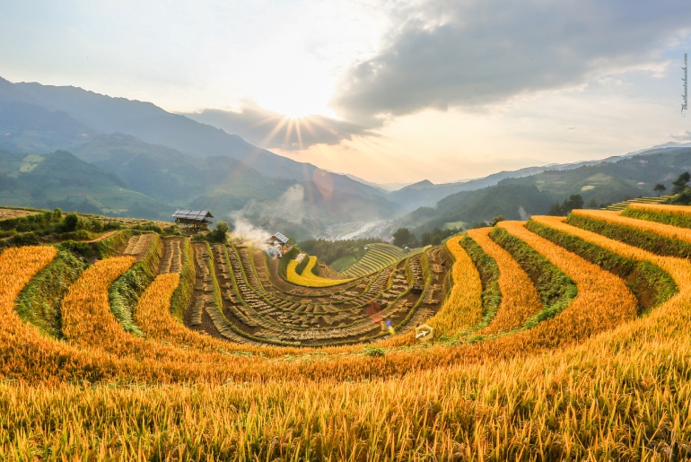 Du lịch Mù Cang Chải I Tour du lịch Mù Cang Chải 3 ngày 2 đêm