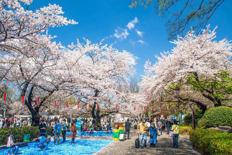 Du lịch Nhật Bản I Tour Nhật Bản - Tokyo - Fuji 5 Ngày 4 Đêm